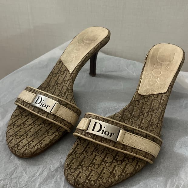 디올 구두 Dior