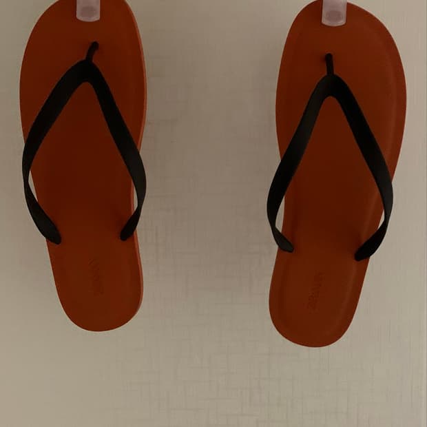 (46) 자라 아론 레빈 플립플랍