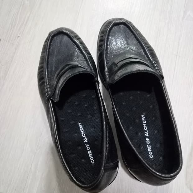코어오브알케미 로퍼 250