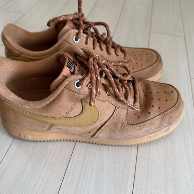 나이키 된장포스 250