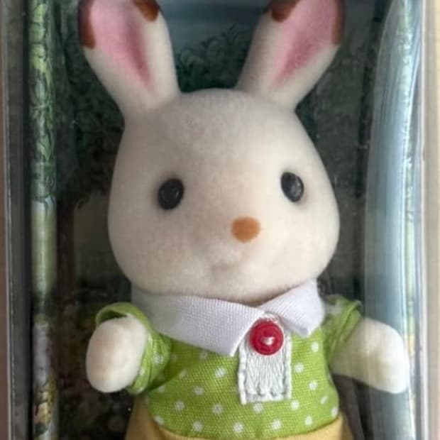 실바니안 토끼 판매합니다 !