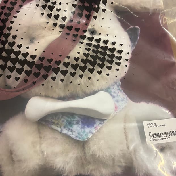 코이세이오 오후 가방