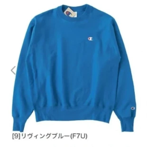 챔피온 리버스위브 블루택 스웨트