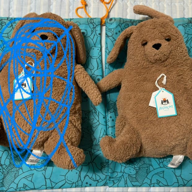 젤리캣 아모레 도그