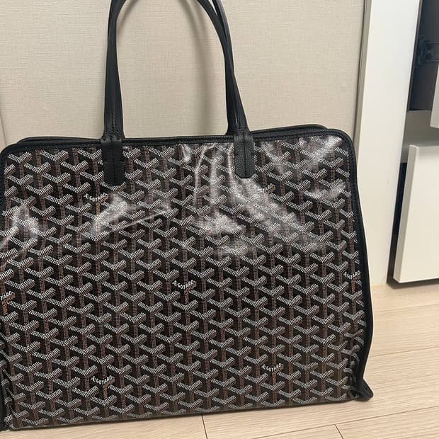 고야드 하디백 PM