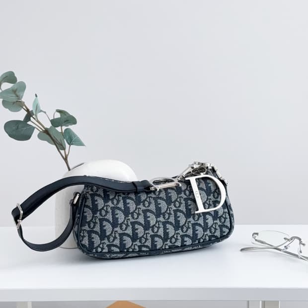 디올 오블리크 D링 미니 숄더백