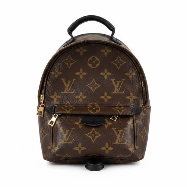 루이비통 모노그램 팜 스프링스 미니 백팩