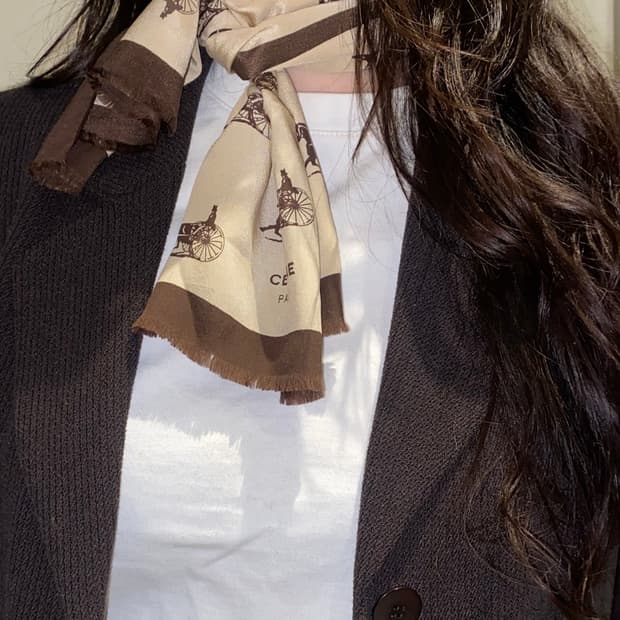 셀린느 마차 롱 스카프