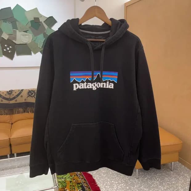 파타고니아 빅로고 약기모 스웻 후드티 105 C06120