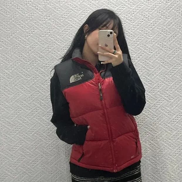 노스페이스 고프코어 눕시 구스 다운 패딩 베스트 조끼 90 C06443