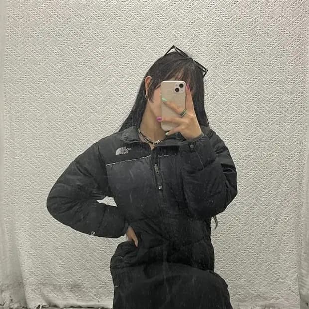 노스페이스 550 눕시 레트로 구스다운 패딩 점퍼 XL C06829