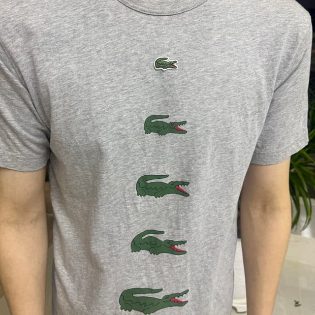꼼데가르송 라코스테 점점 커지는 악어 🐊 