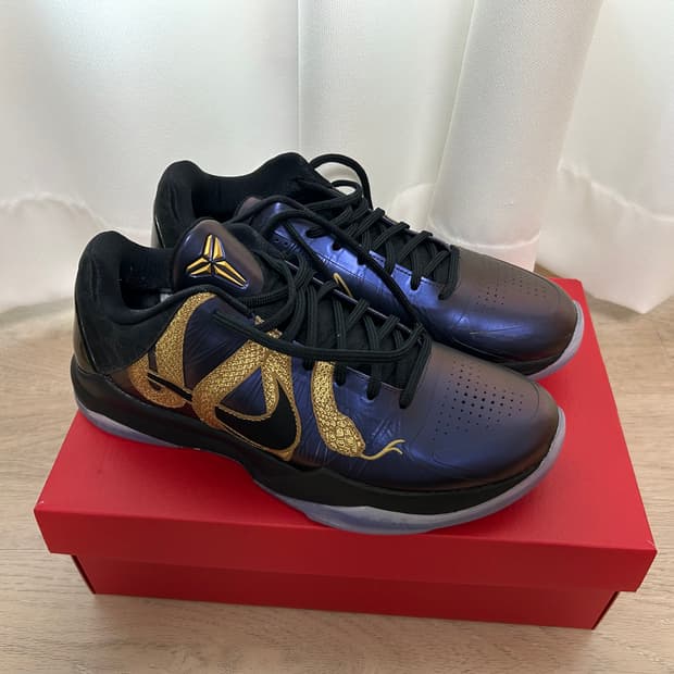 코비 5 프로트로 이어 오브 더 맘바