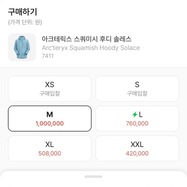 아크테릭스 스쿼미시 후디 솔레스