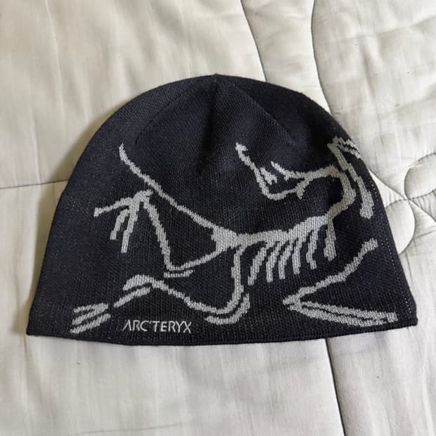 아크테릭스 비니