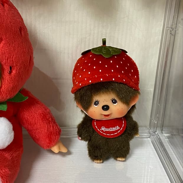 몬치치 베비치치 딸기모자
