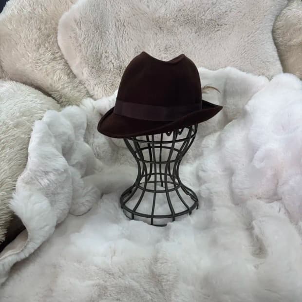 짙은 갈색의 페도라 모자