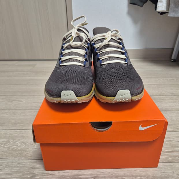 나이키 페가수스 41 PRM 285