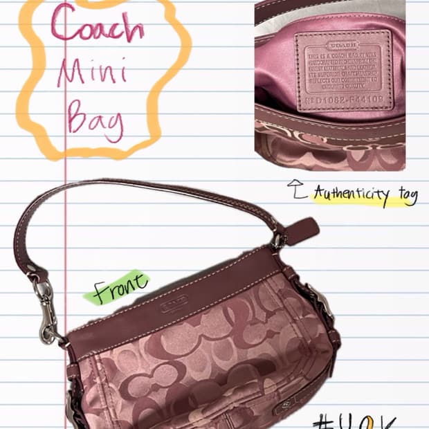 Coach Y2K mini bag