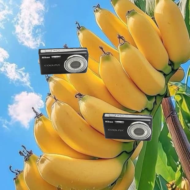 필름색감&입문!) Nikon CoolPix S550 디카 카메라