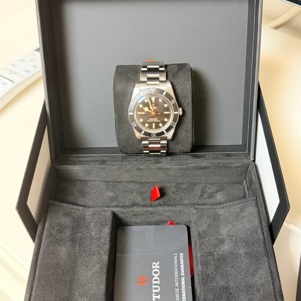 튜더 블랙베이 54 판매합니다