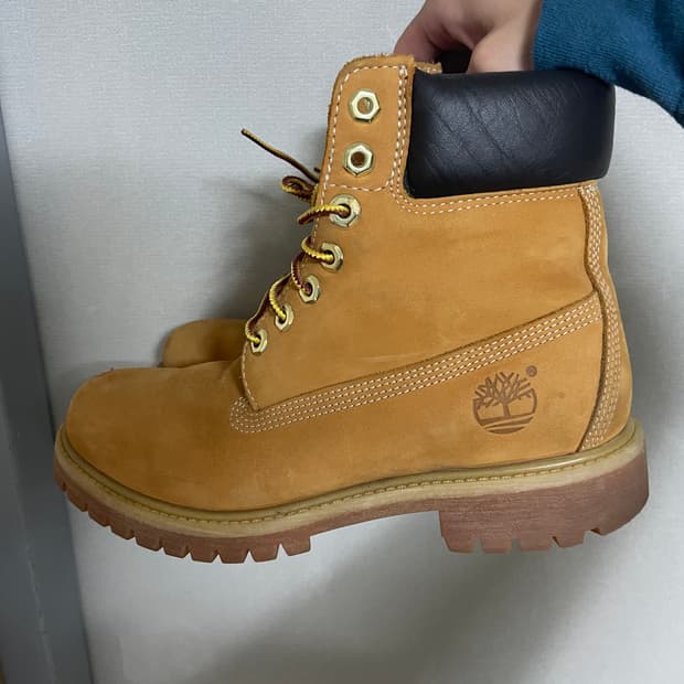 팀버랜드 6인치 워터프루프 프리미엄