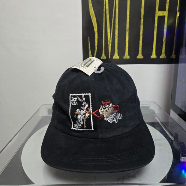 (Dead) 90’s Vintage USPS × Looney cap
