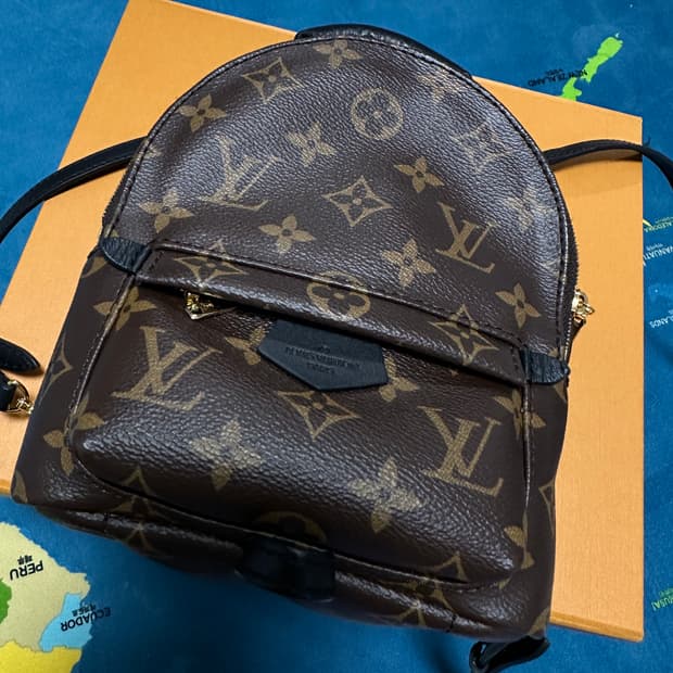 루이비통 팜스프링스 백팩