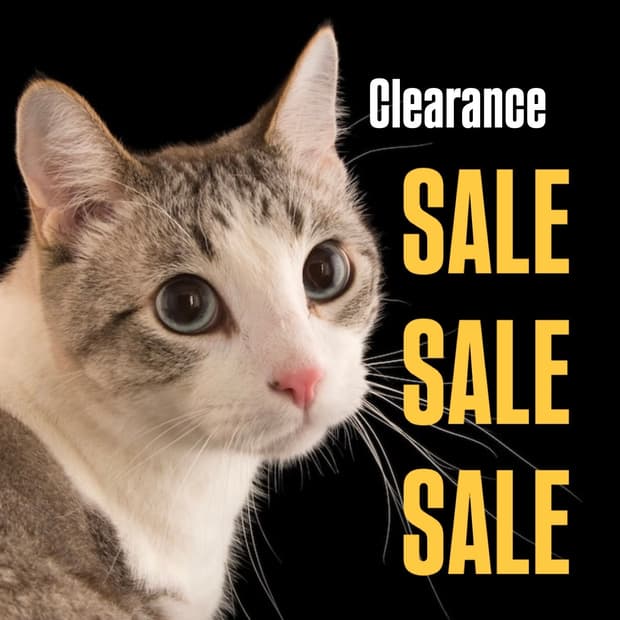 팔로워 100기념 세일