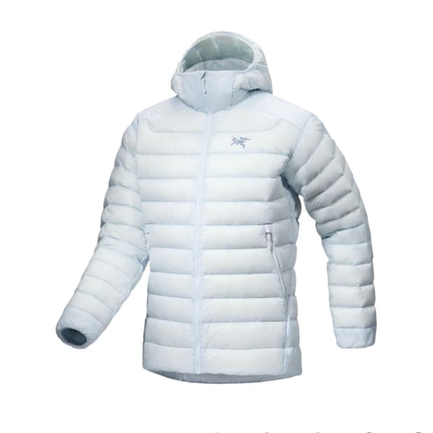 아크테릭스 세륨 후디 데이브레이크 L