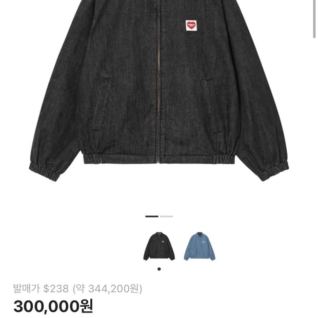 칼하트 허드슨 자켓