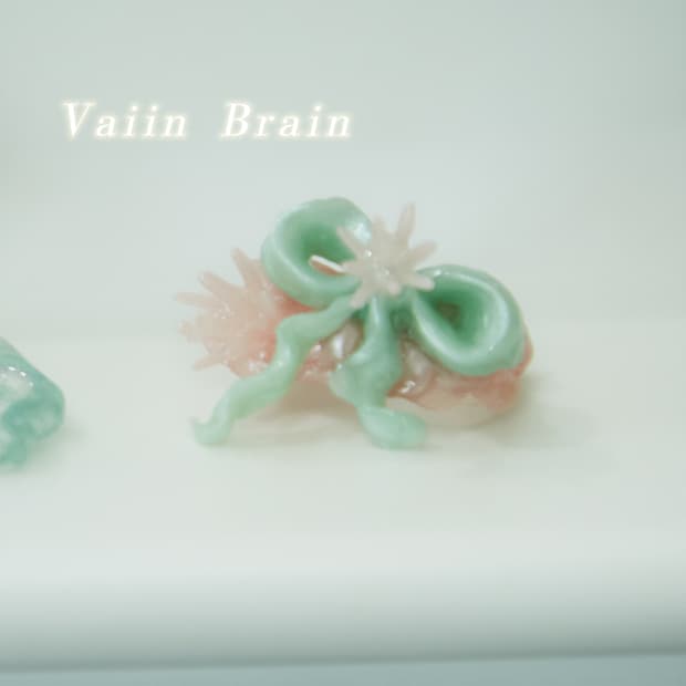 ⋆౨ৎ˚⟡˖ ࣪리본산호초 ring ୨୧ ∴∵∴