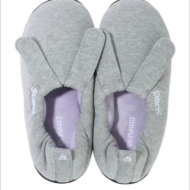 코이세이오 스부 00