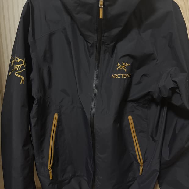 급처 아크테릭스 빔즈 제타 M