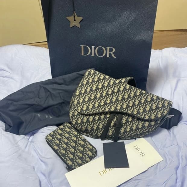 디올 오블리크 새들백