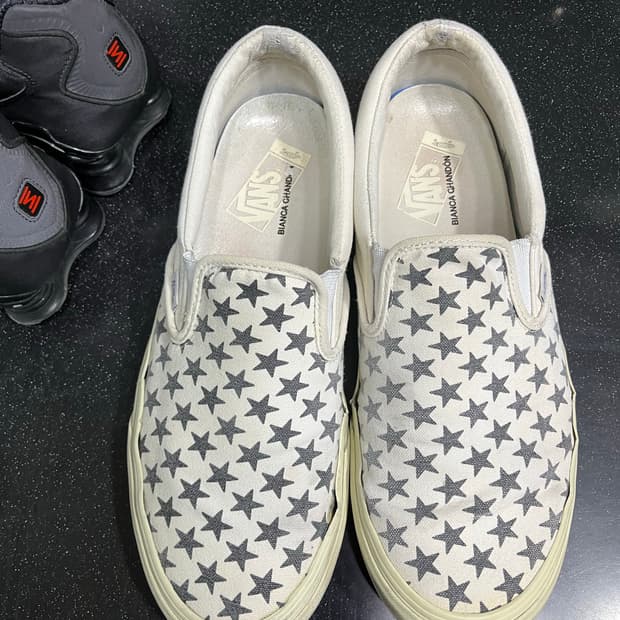 반스 비앙카샹동 슬립온 290