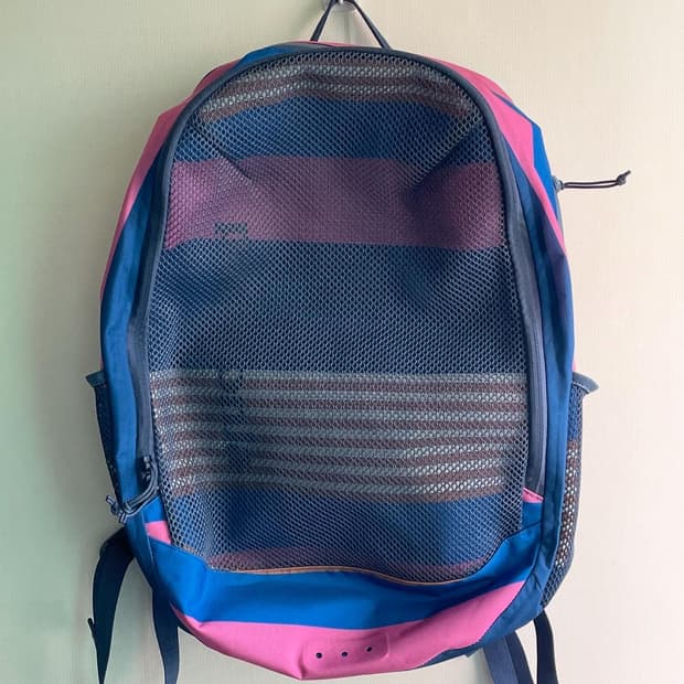 Patagonia Planing Divider Pack 30L