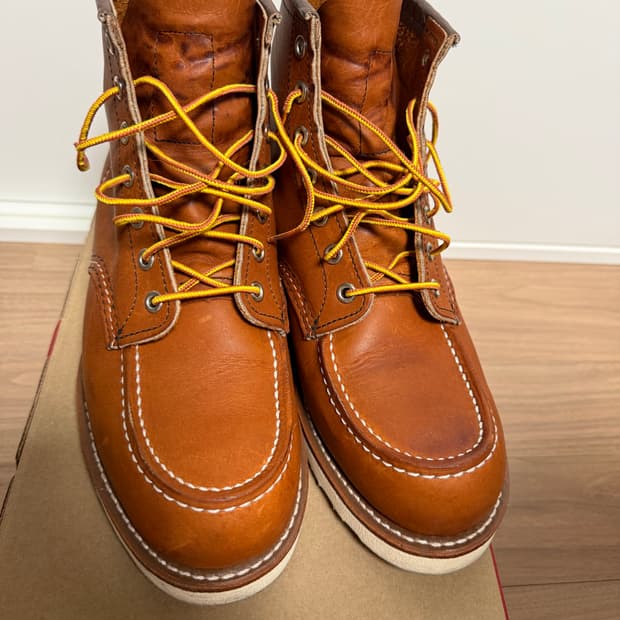 레드윙 목토 875 8E