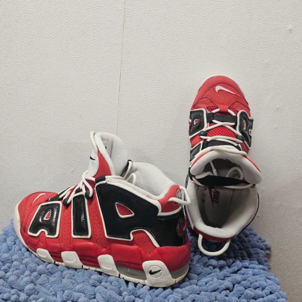 나이키 에어 모어 업템포 96  250