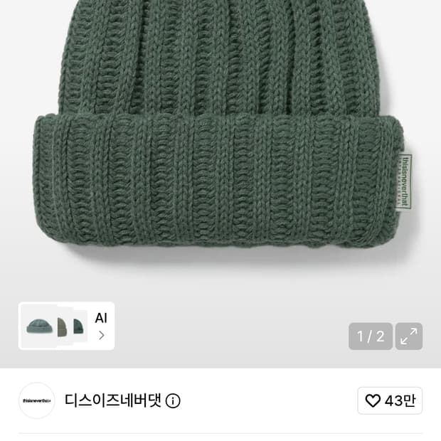 디스이즈네버댓 비니