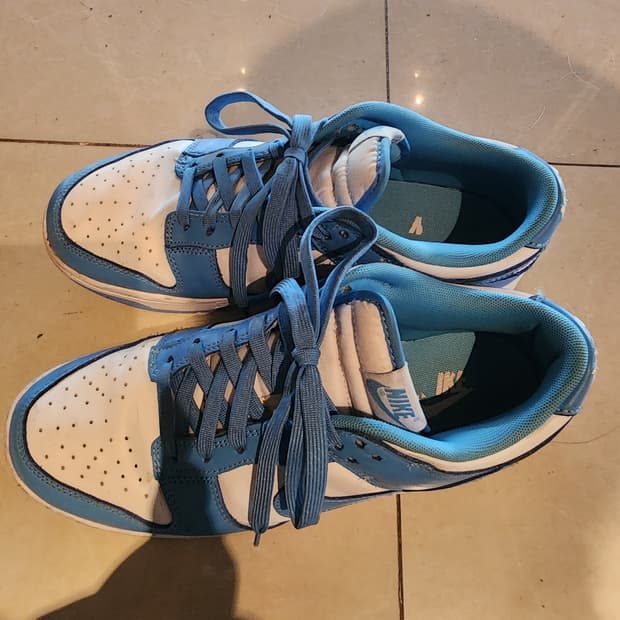 NIKE 나이키 덩크 로우 하늘색 팜. 270mm 운동화 스니커즈