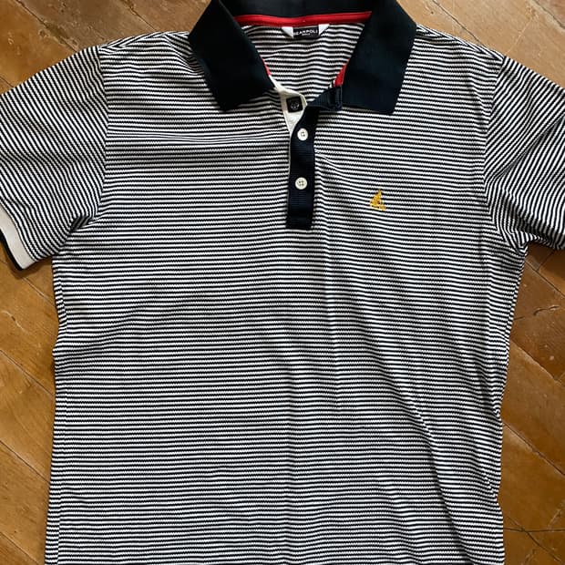 빈폴골프 스트라이프 카라티 100