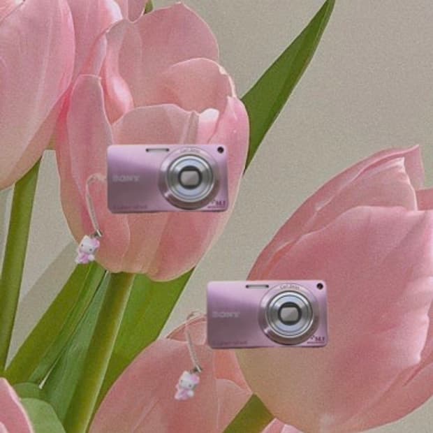 소니 사이버샷 DSC-W350 디카 (작례있음)