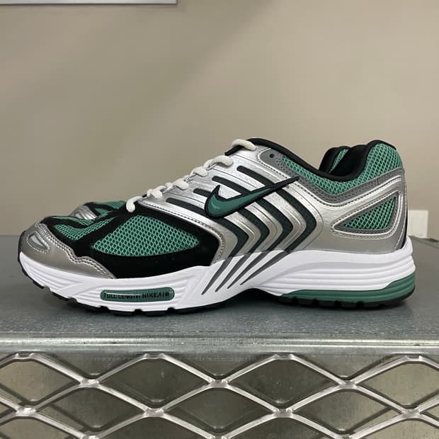 나이키 에어 페가수스 2K5 300