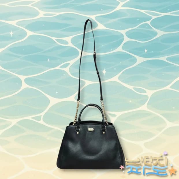COACH 코치 세이지 토트 크로스백