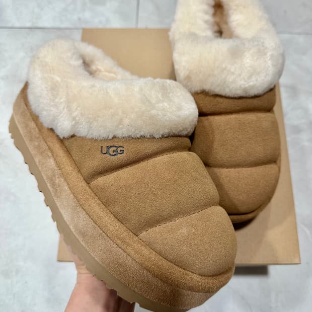 어그 타즐리타 체스트넛 230,240사이즈 새상품