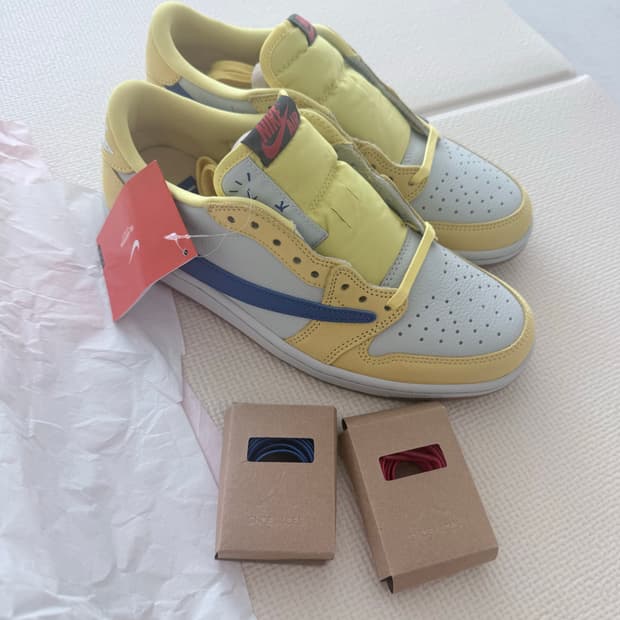 스캇 카나리 w255