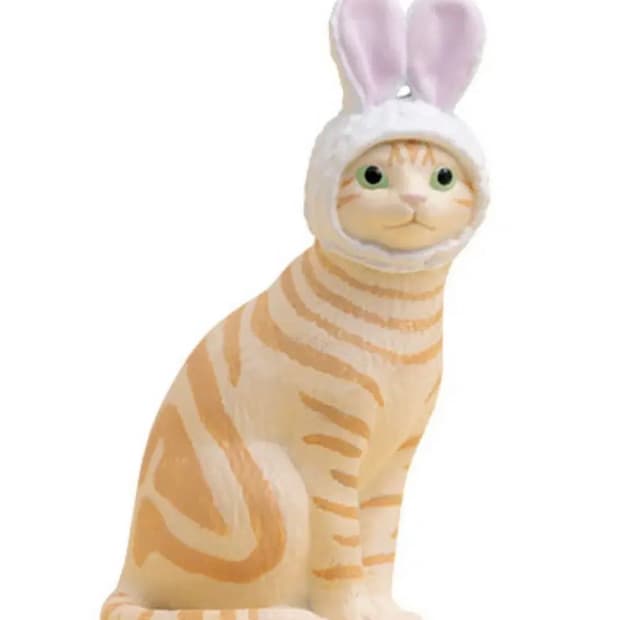 모자 쓴 고양이 가챠 치즈태비 냥이 반려묘 코숏 일본 뽑기