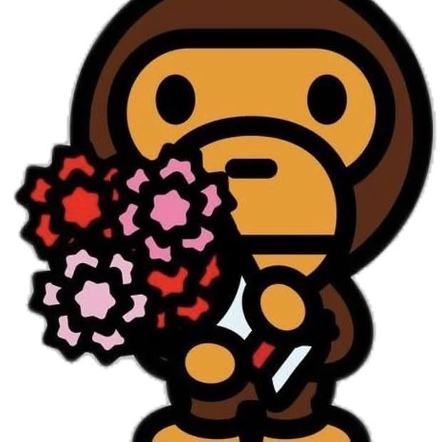 베이프 에이프 후드티 후드집업 싸게 팔아주새오