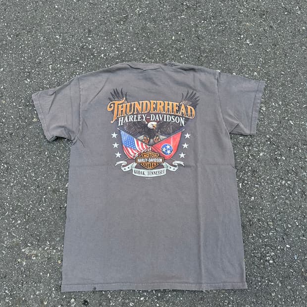 [할리데이비슨] •Vintage Thunderhead Tee
